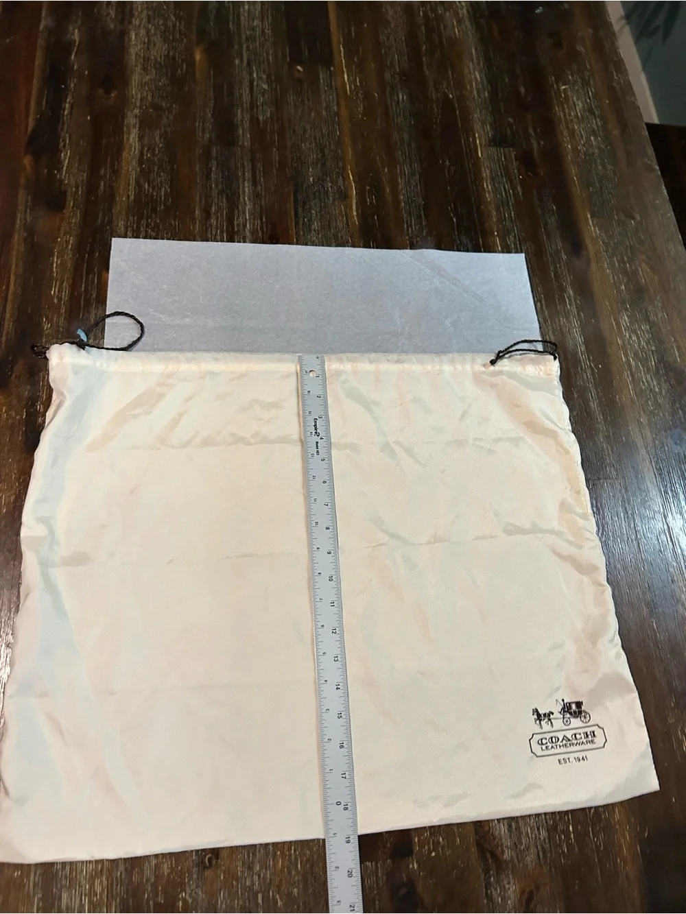 LARGE COACH CHAMPAGNE SILKY BAG